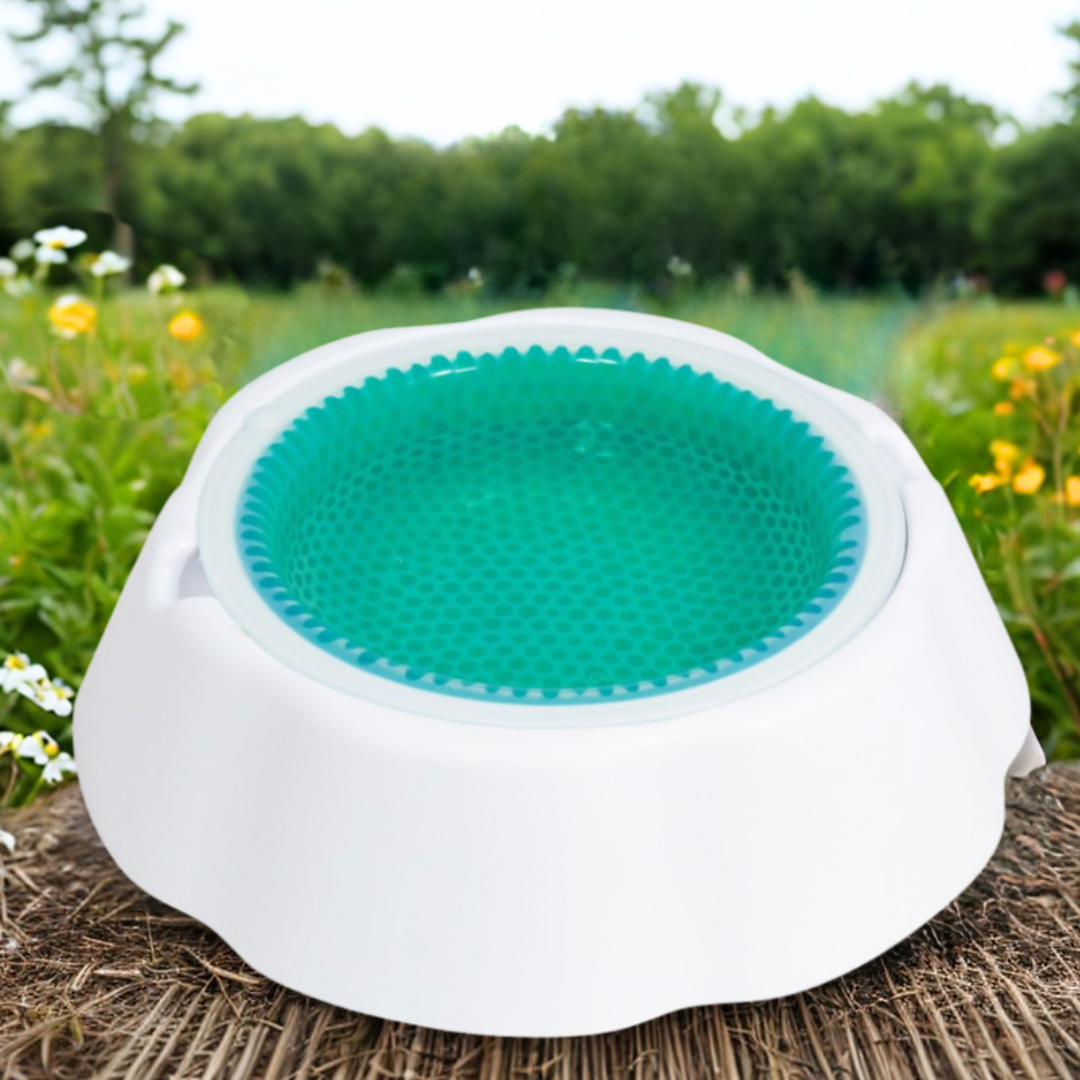 Ice Bowl - Ciotola Refrigerante per Cani e Gatti