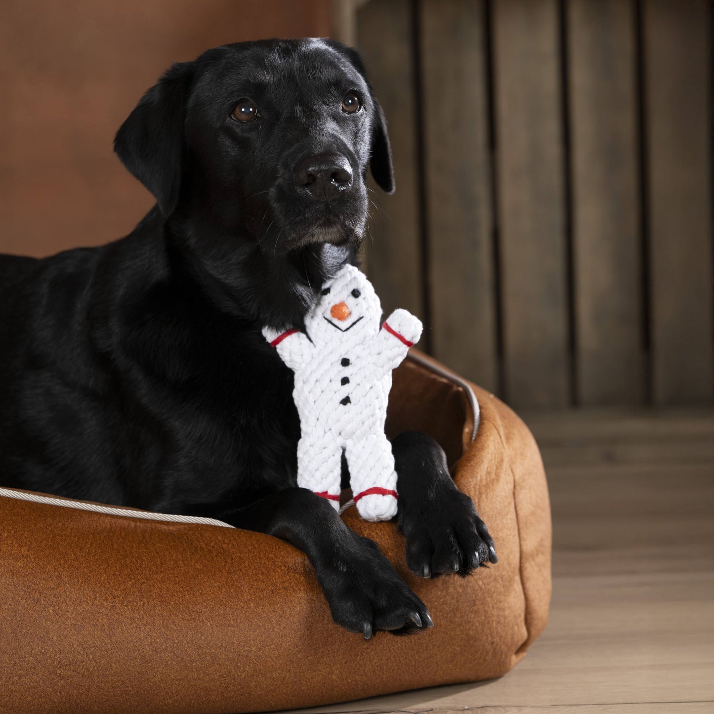 SHAWN il Pupazzo di Neve™ - Gioco in corda intelligente