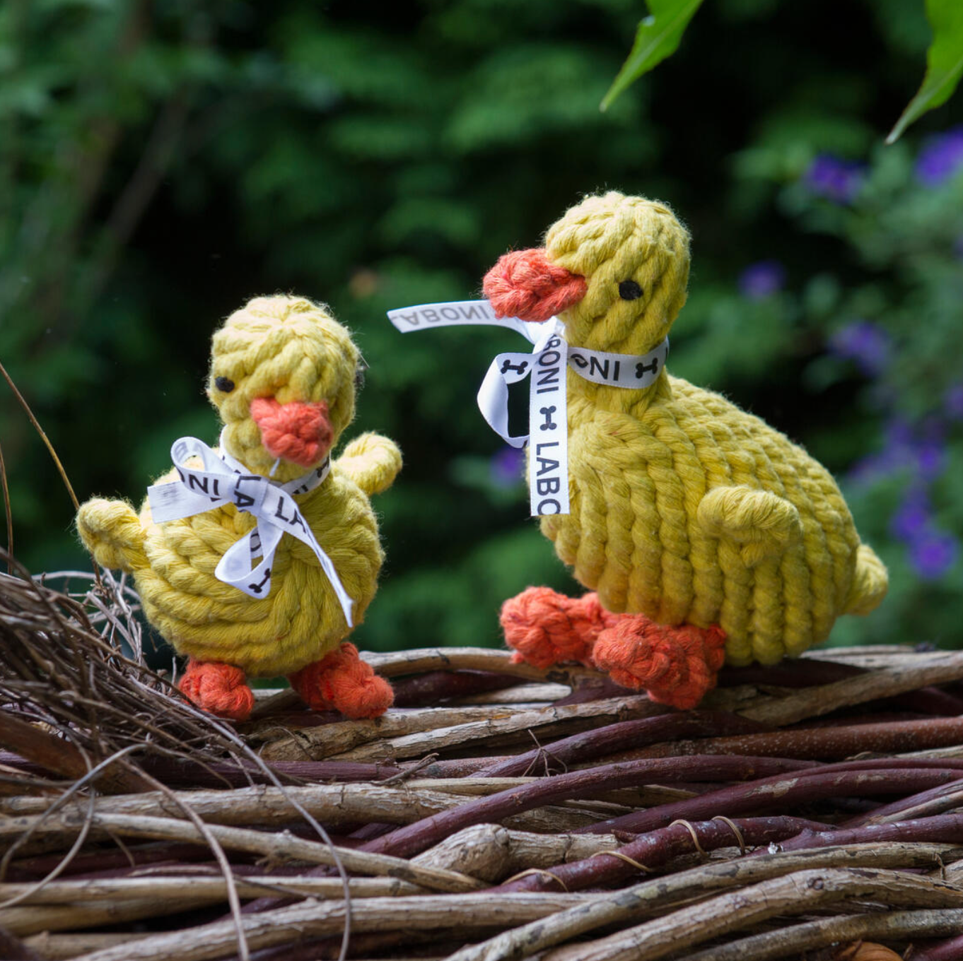 EMMA la Papera™ - Gioco in corda intelligente