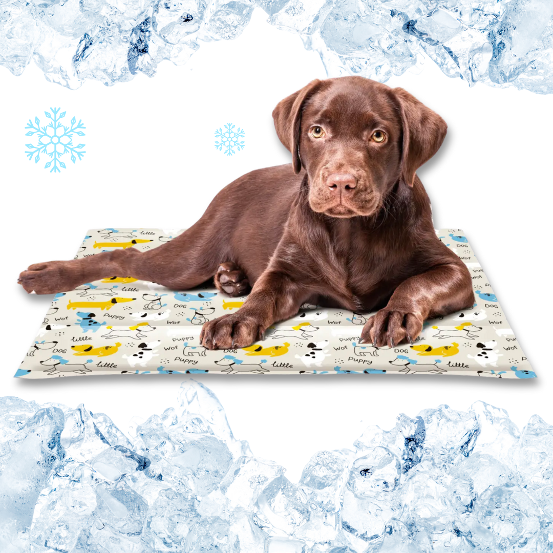 Tappetini Refrigeranti Alta Qualità per Cani e Gatti