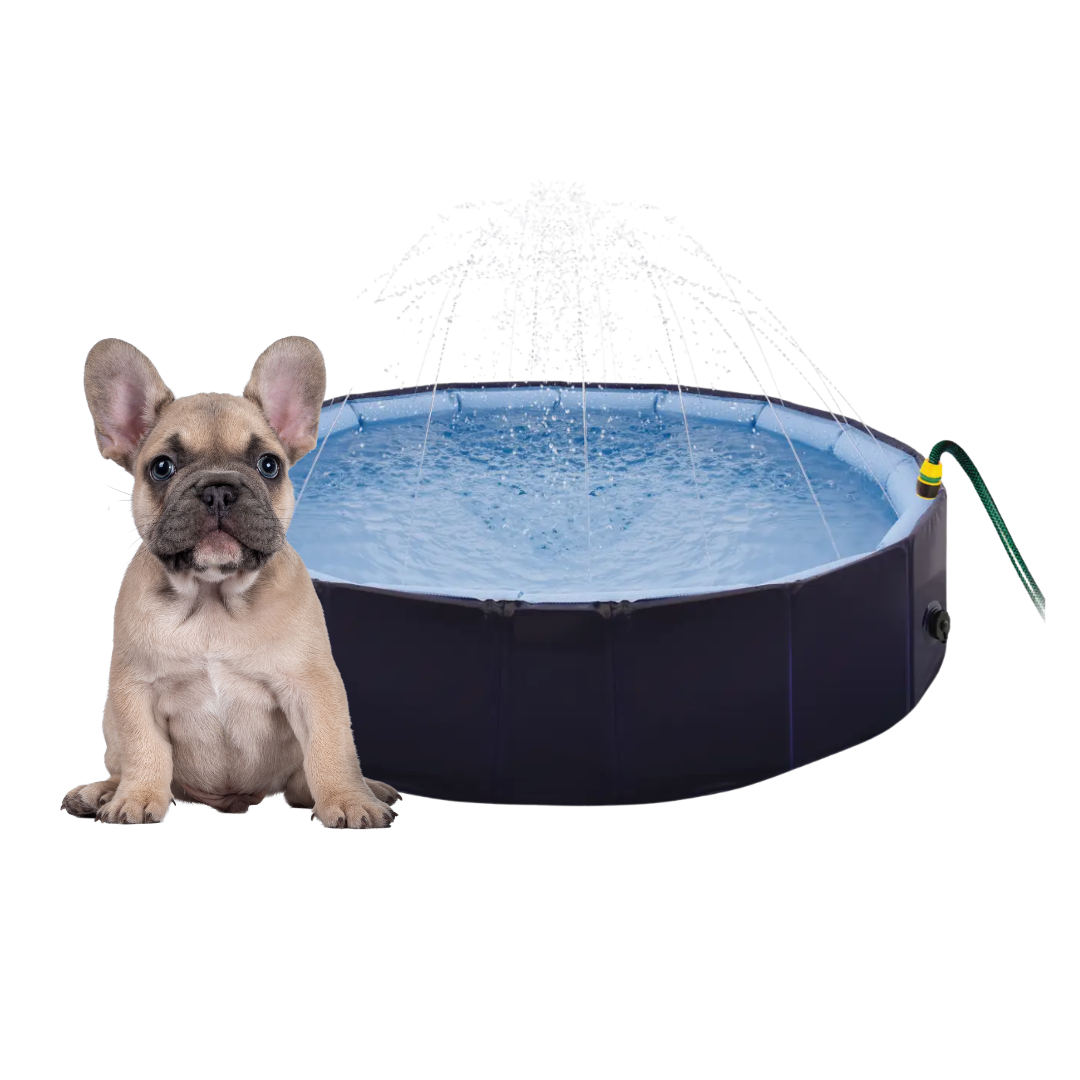 Piscina Professionale Giochi d'Acqua 2 in 1