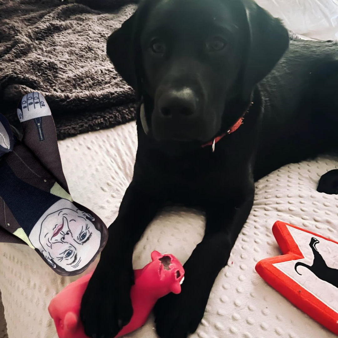 Elon® – Pupazzo Parodico per Cani EDIZIONE SPECIALE LIMITATA