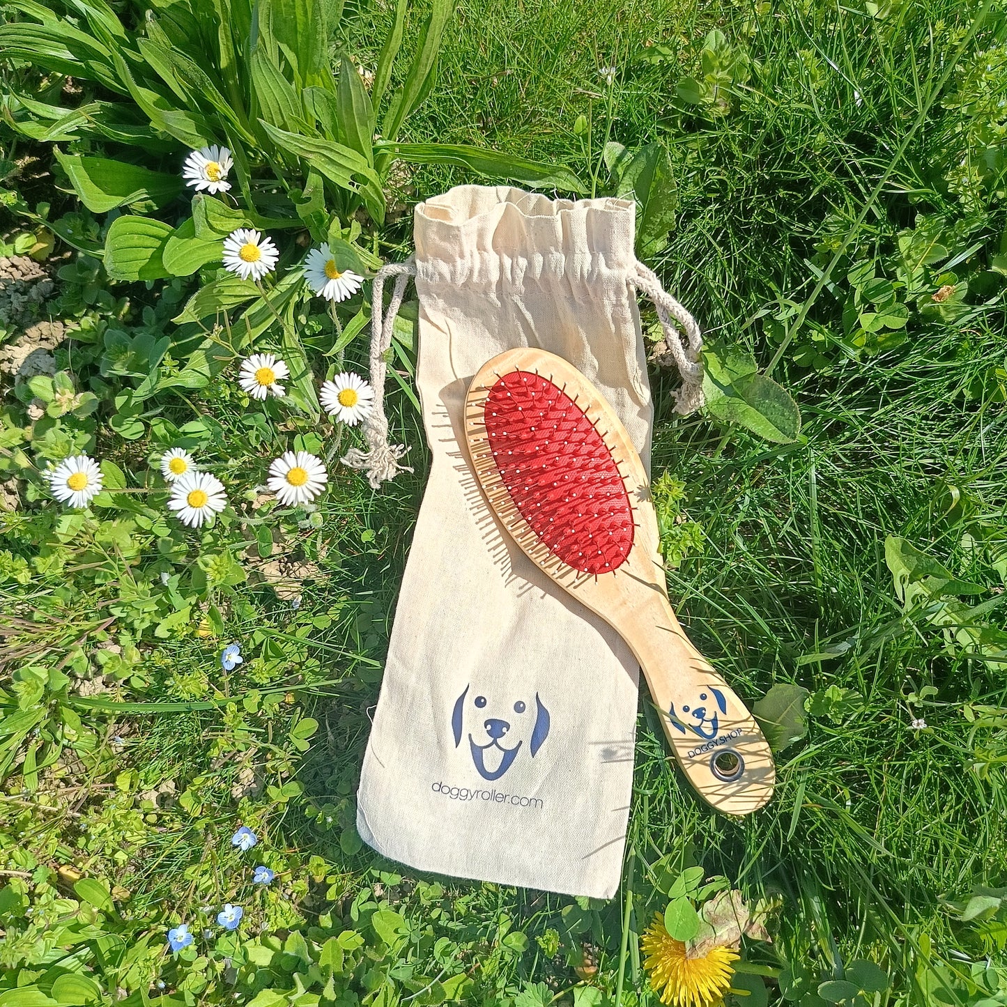 Spazzola in Legno Doppia Funzione