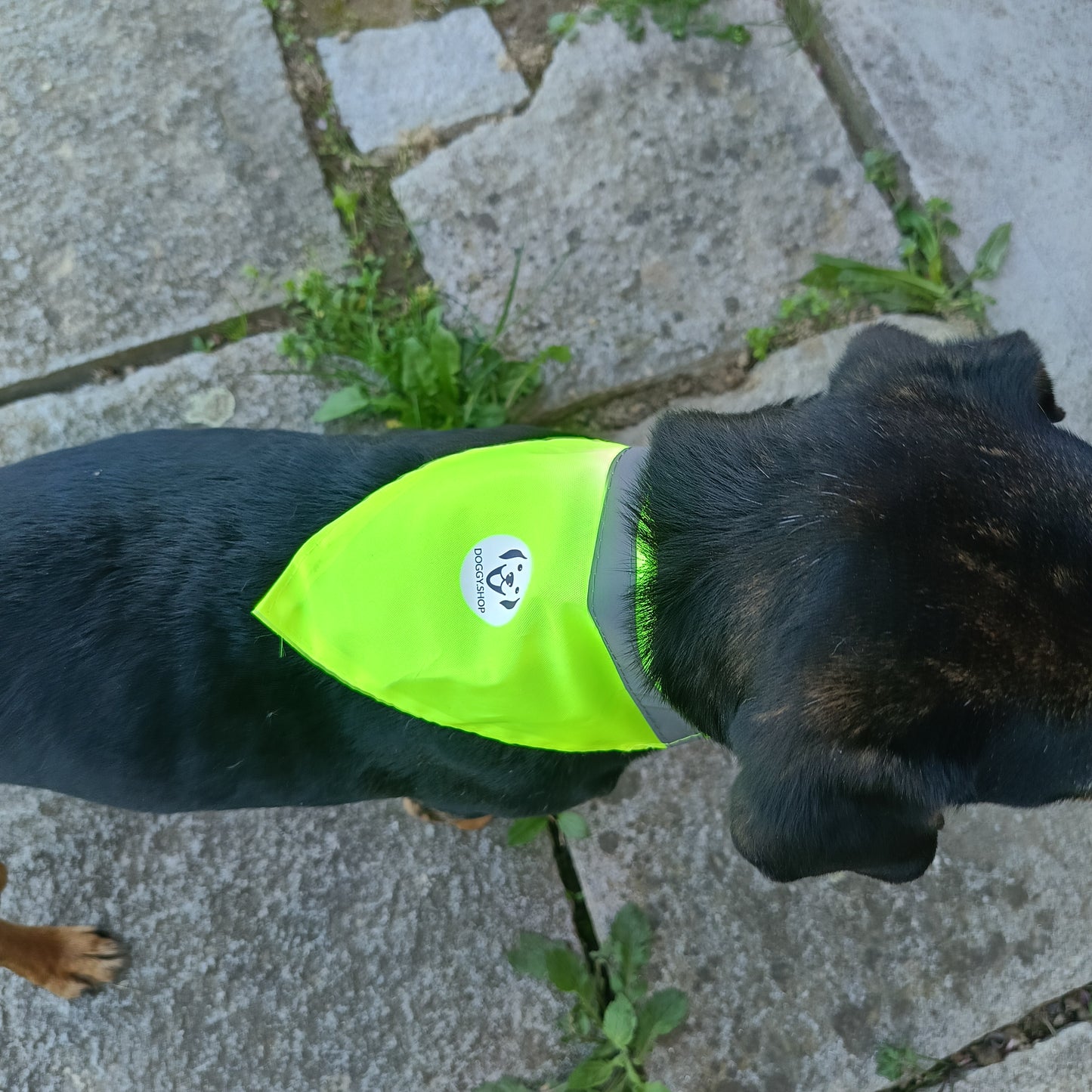 Bandana di Sicurezza Riflettente