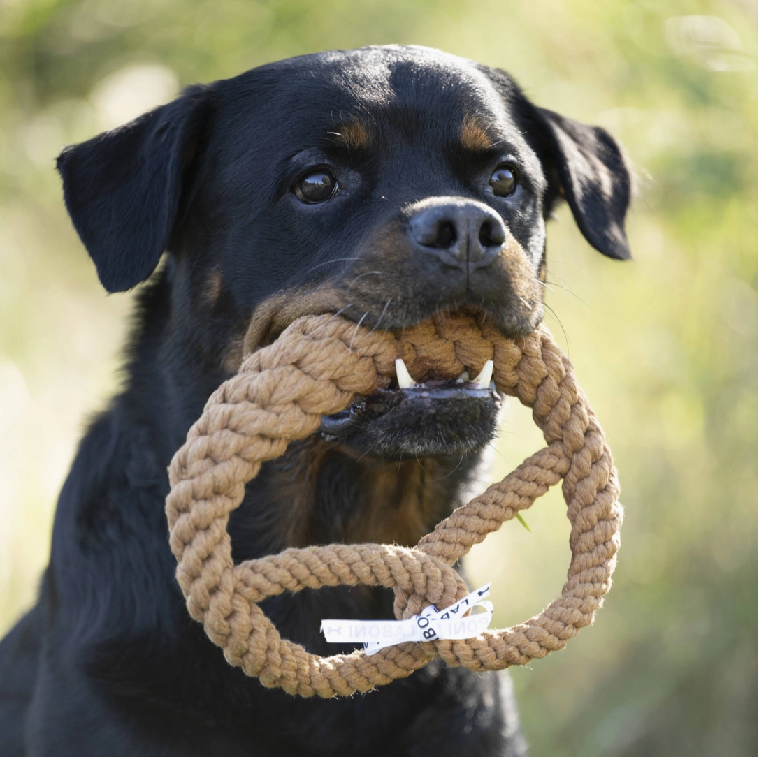 BRITTA il Brezel™ - Gioco in corda intelligente