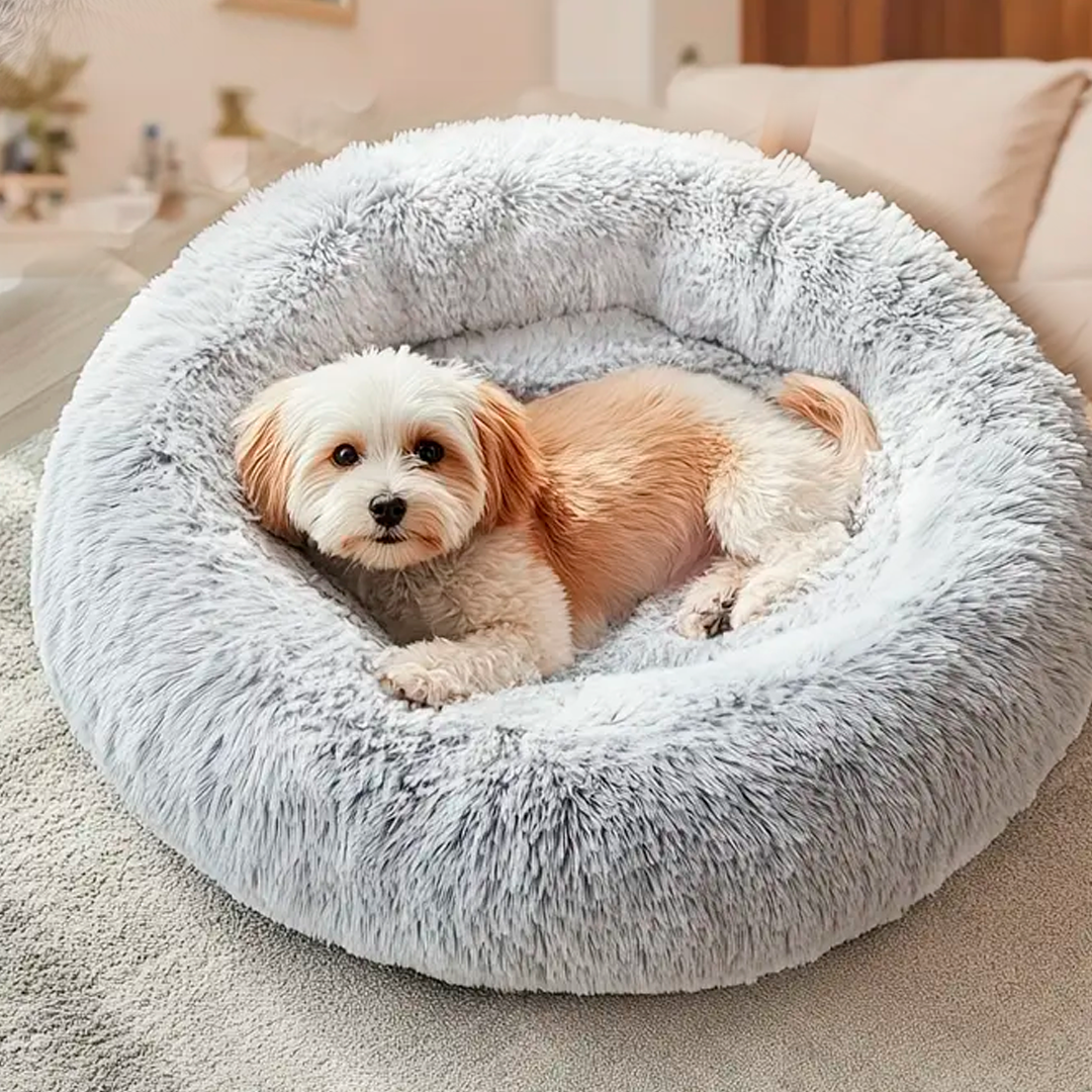 Cuccia Soffice Calmante Lavabile per Gatti e Cani di Piccola Media Taglia