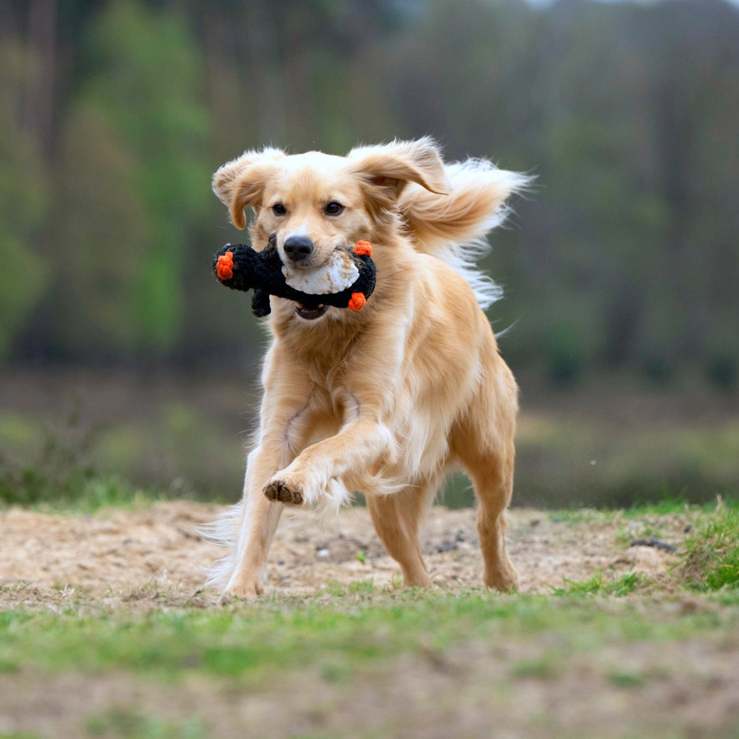 POLDI il Pinguino™ - Gioco in corda intelligente