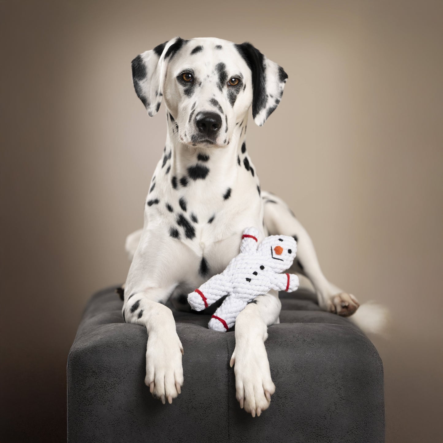 SHAWN il Pupazzo di Neve™ - Gioco in corda intelligente