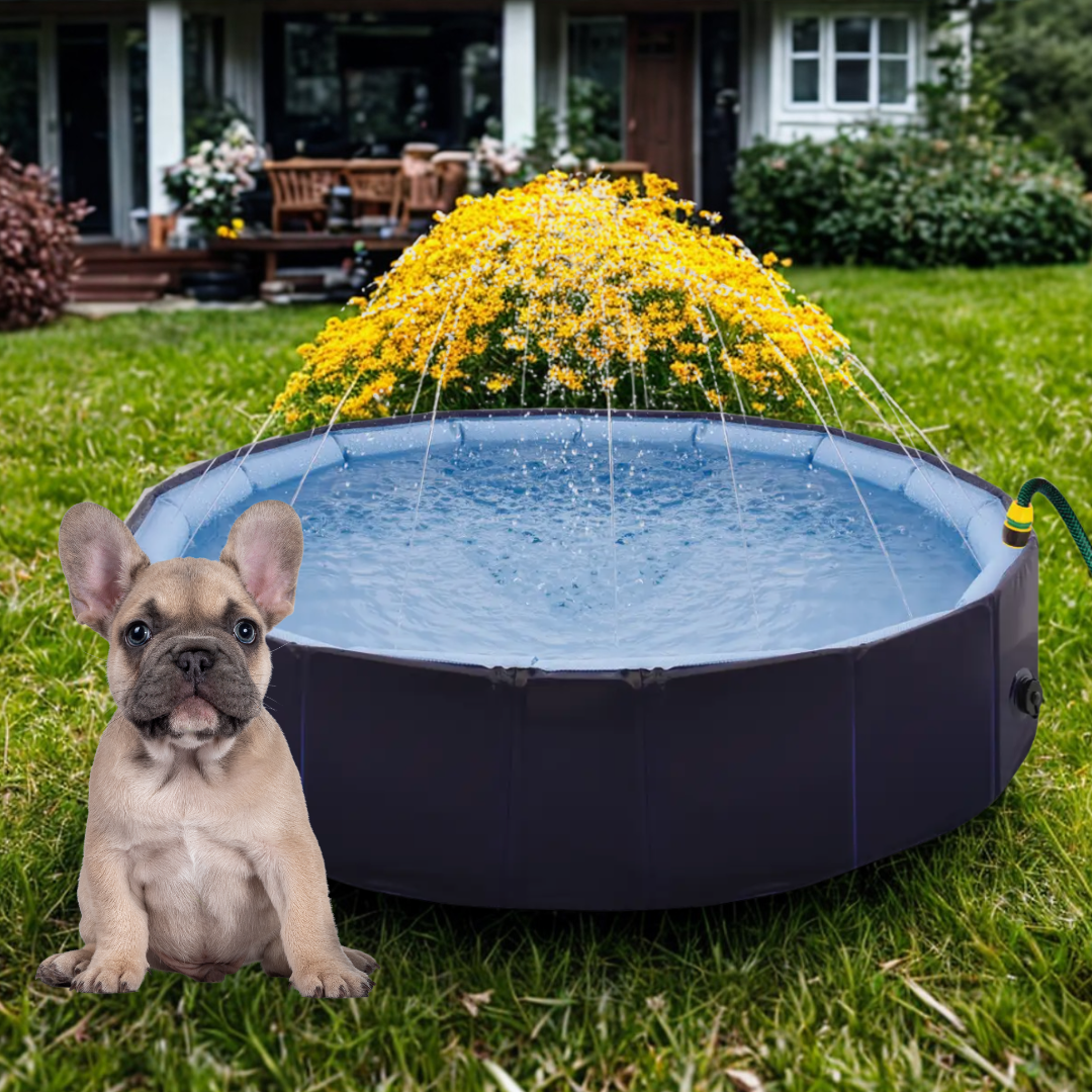 Piscina Professionale Giochi d'Acqua 2 in 1