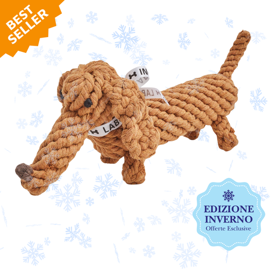 DIEGO il Bassotto™ - Gioco in corda intelligente