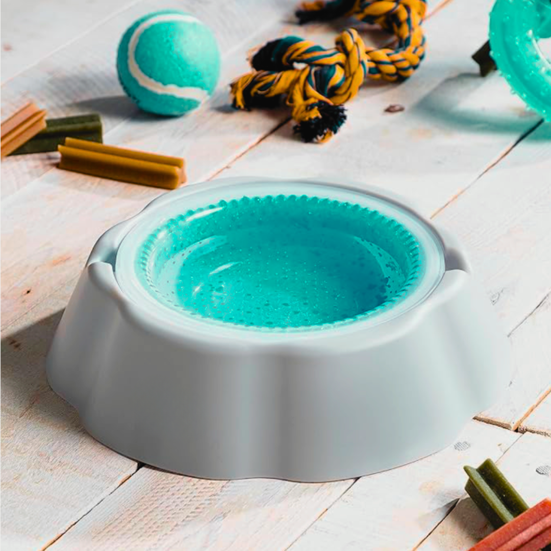 Ice Bowl - Ciotola Refrigerante per Cani e Gatti