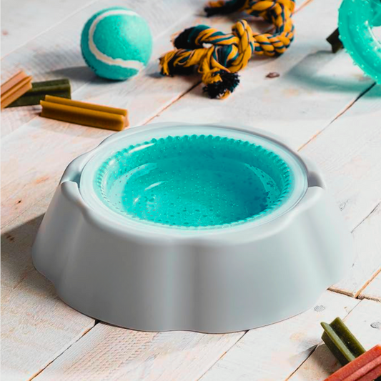 Ice Bowl - Ciotola Refrigerante per Cani e Gatti