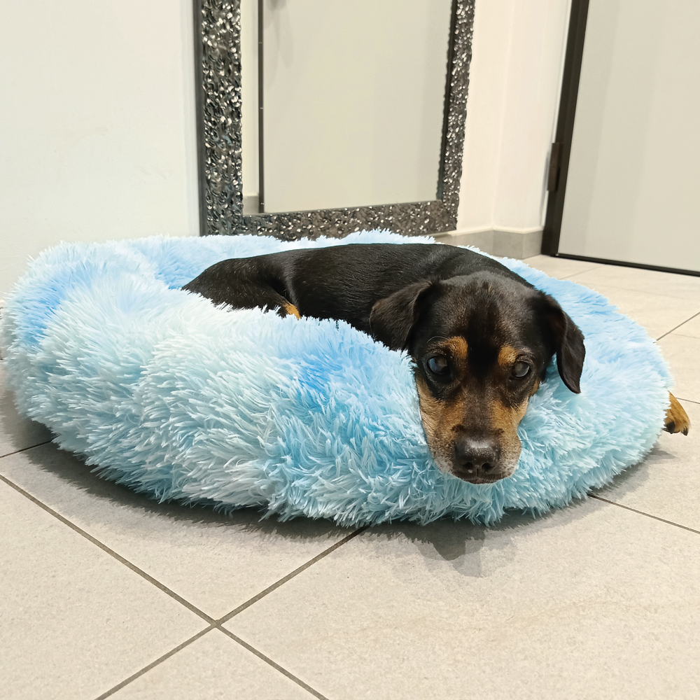 Cuccia Soffice Calmante Lavabile per Gatti e Cani di Piccola Media Taglia