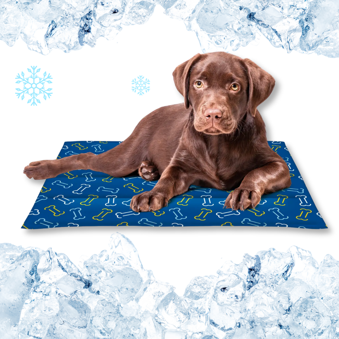 Tappetini Refrigeranti Alta Qualità per Cani e Gatti