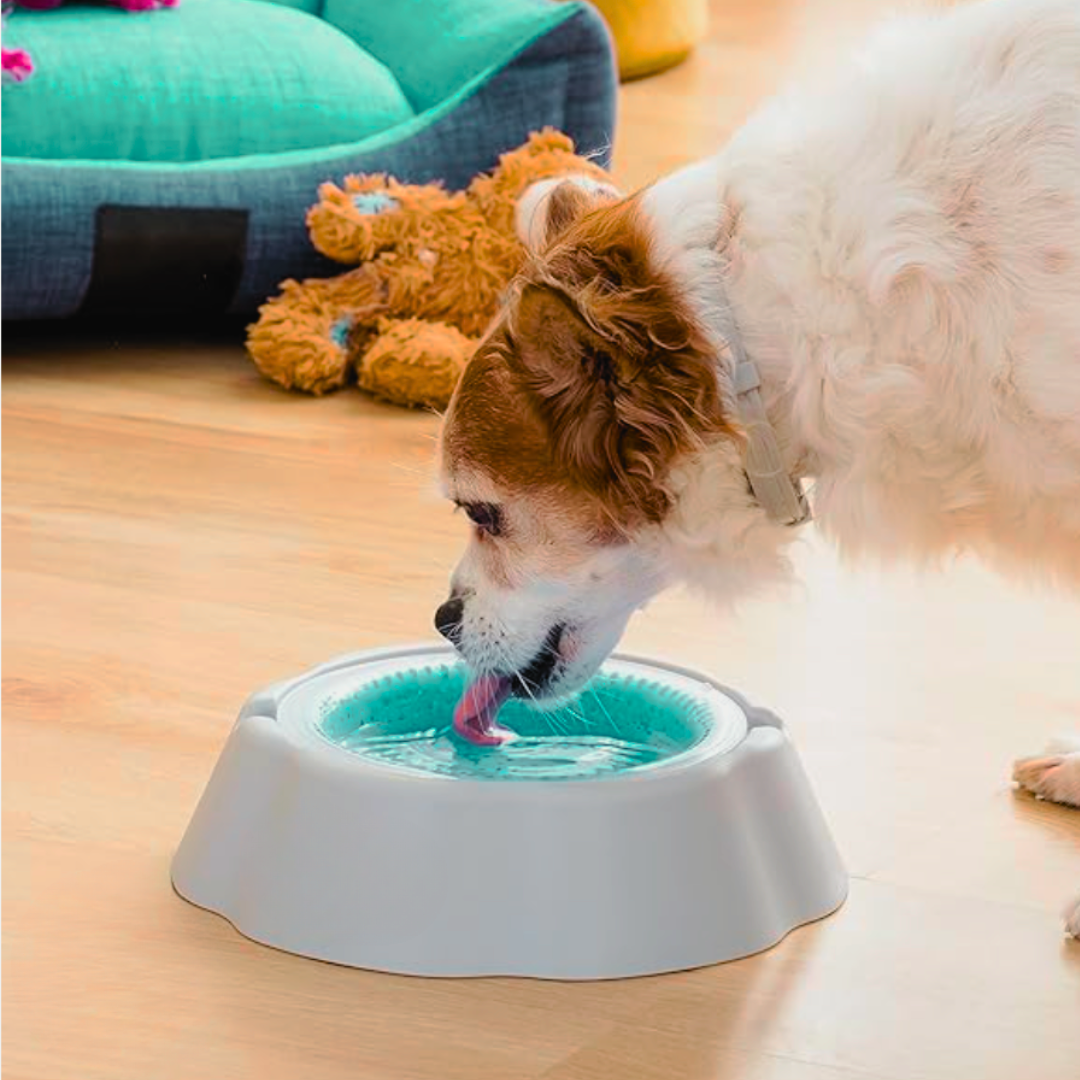 Ice Bowl - Ciotola Refrigerante per Cani e Gatti