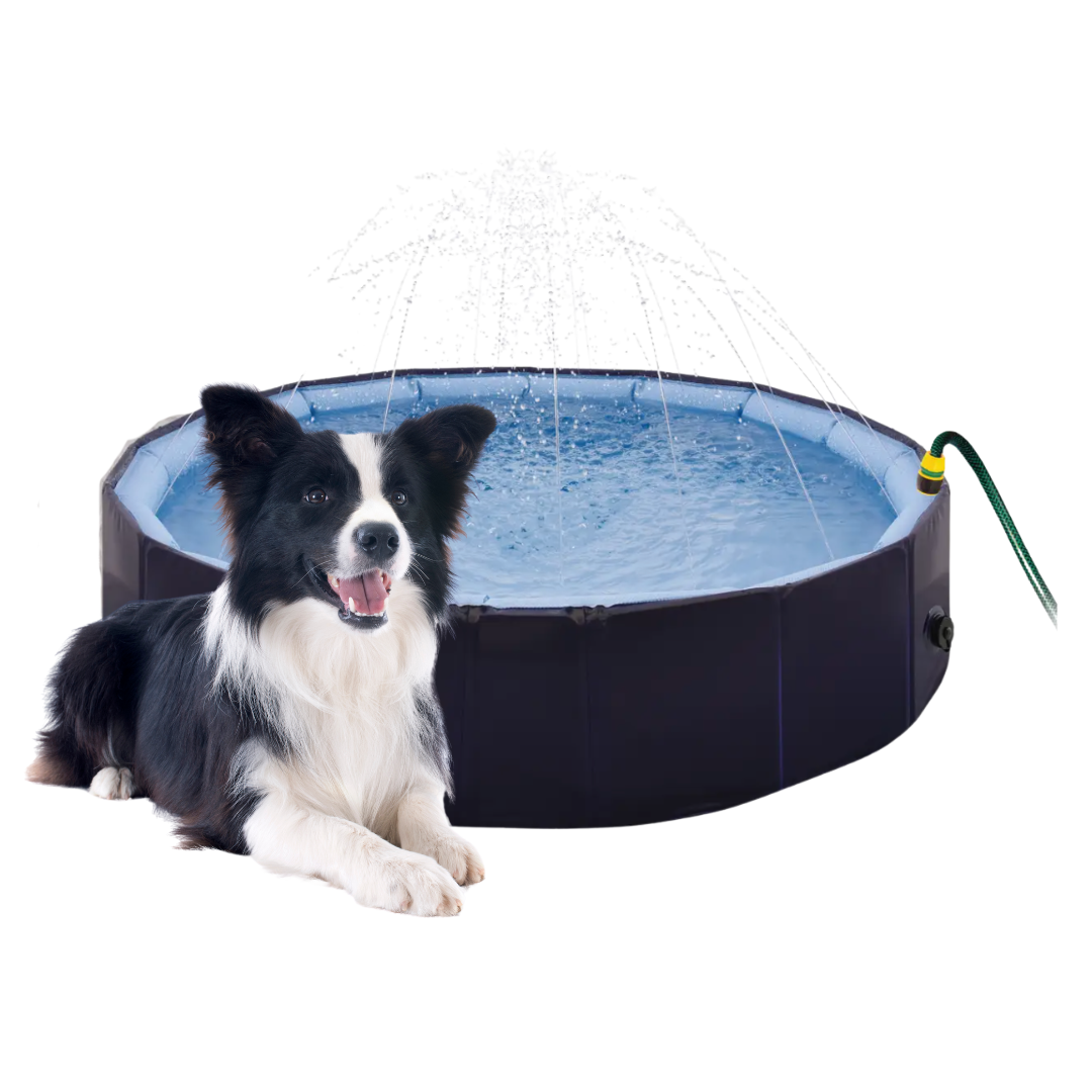 Piscina Professionale Giochi d'Acqua 2 in 1
