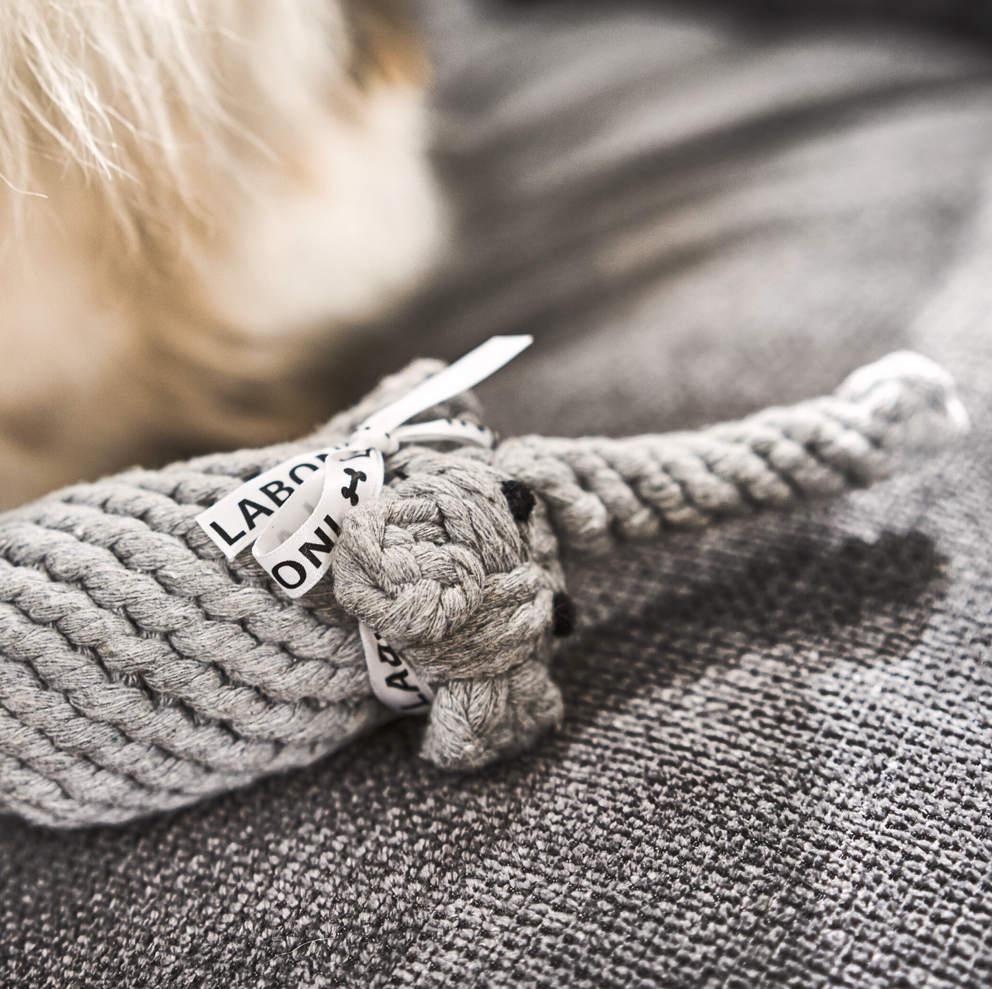 ELTON l' Elefante™ - Gioco in corda intelligente