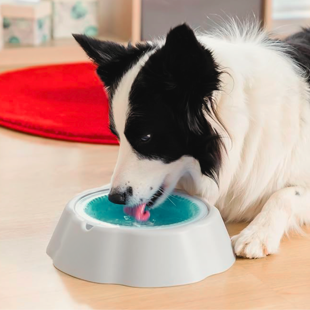 Ice Bowl - Ciotola Refrigerante per Cani e Gatti