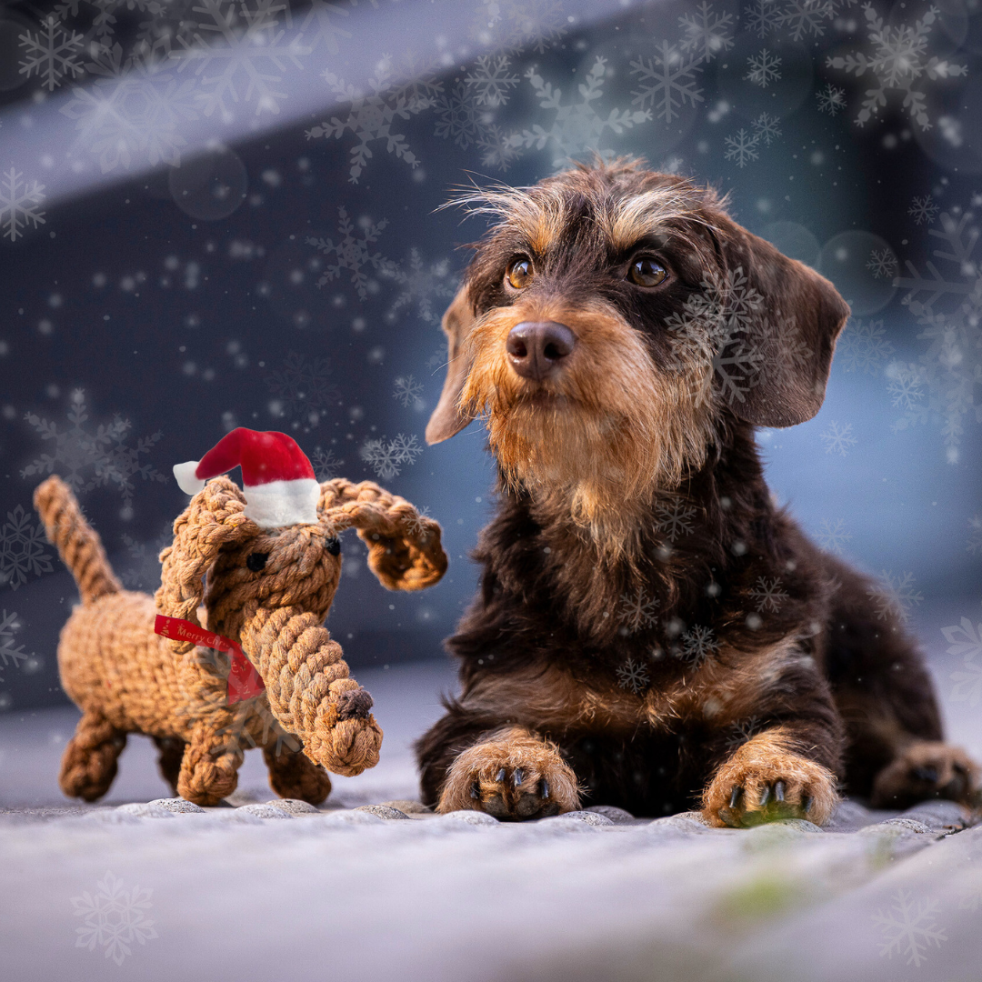 Diego Santa Claus™ - EDIZIONE LIMITATA