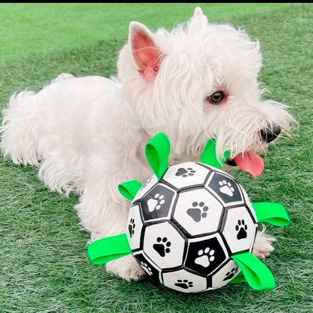 Palla da Calcio Ultra Resistente World&Pets™