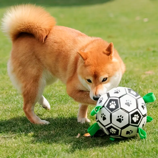 Palla da Calcio Ultra Resistente World&Pets™