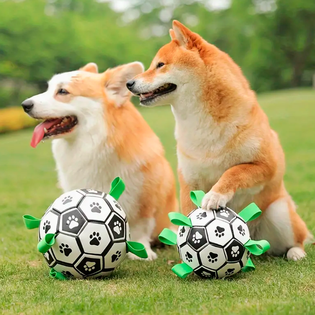 Palla da Calcio Ultra Resistente World&Pets™