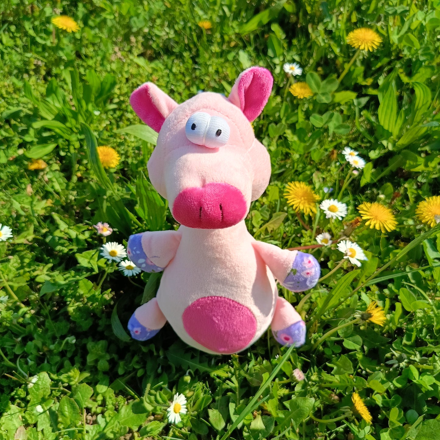 PIG Peluche Ecosostenibile