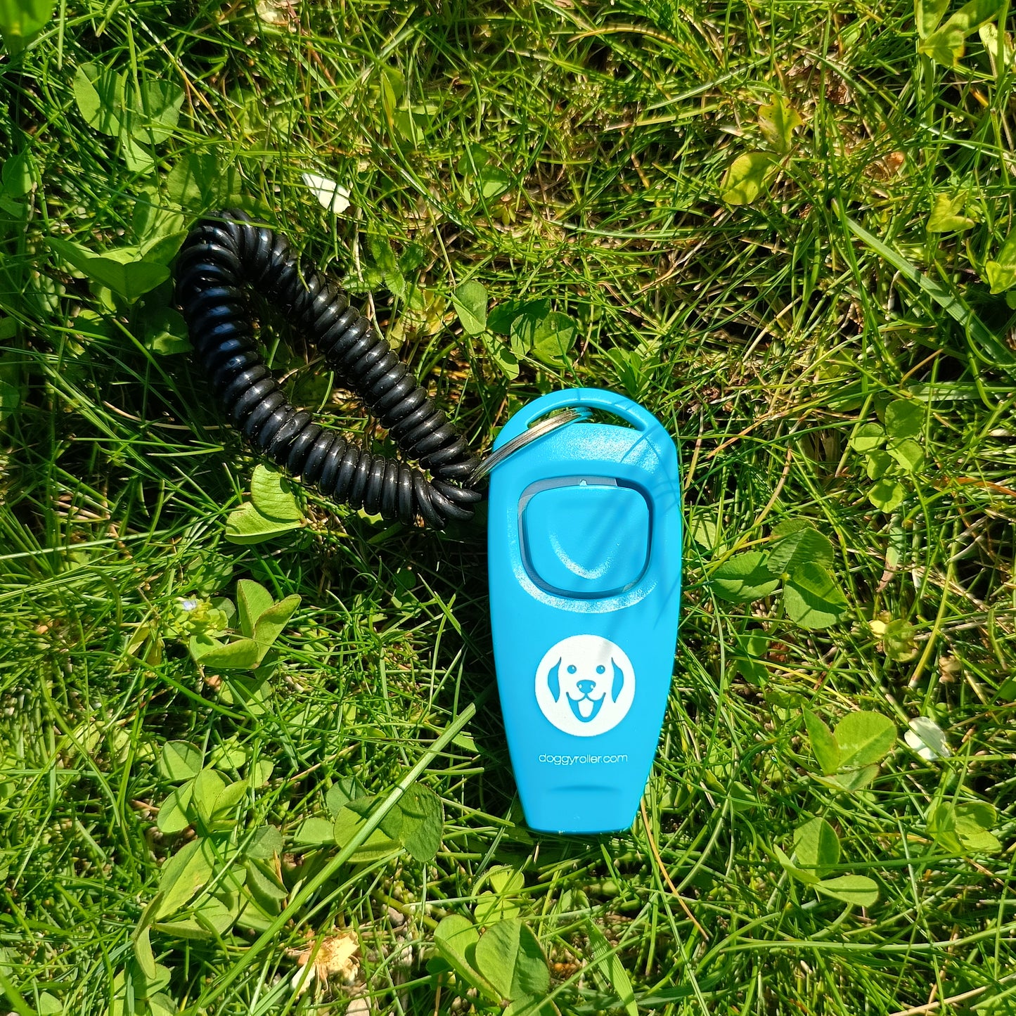 Clicker Professionale con Fischietto per Cani