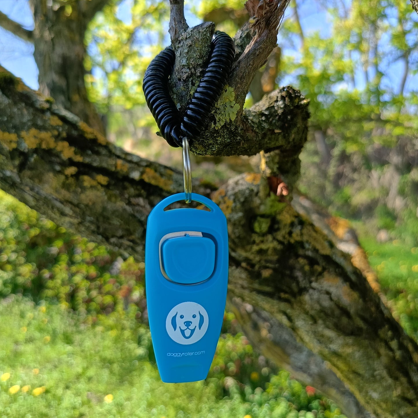 Clicker Professionale con Fischietto per Cani