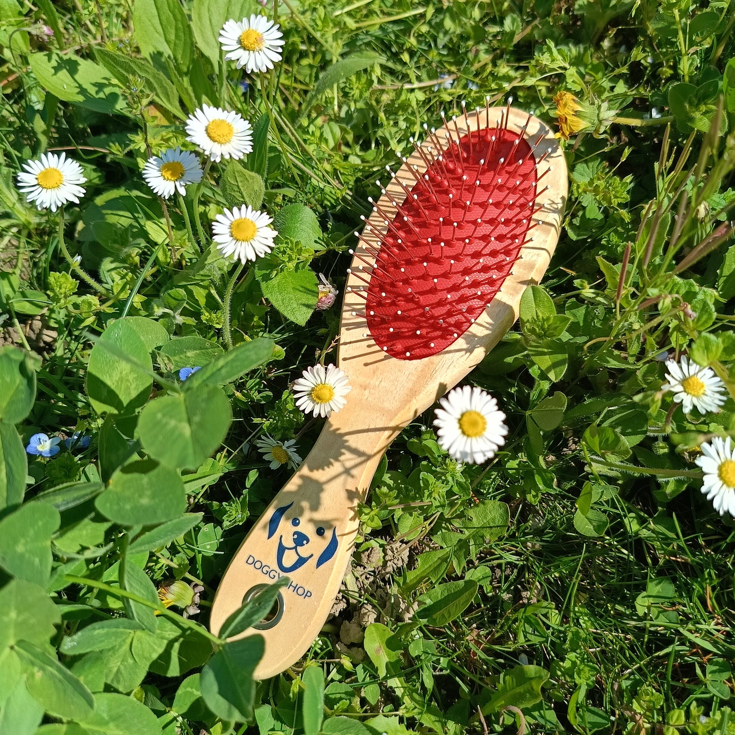 Spazzola in Legno Doppia Funzione
