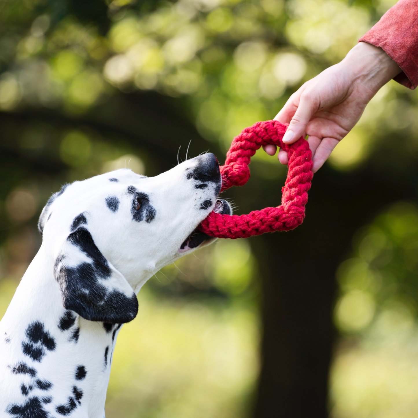 HEARTHA il Cuore™ - Gioco in corda intelligente