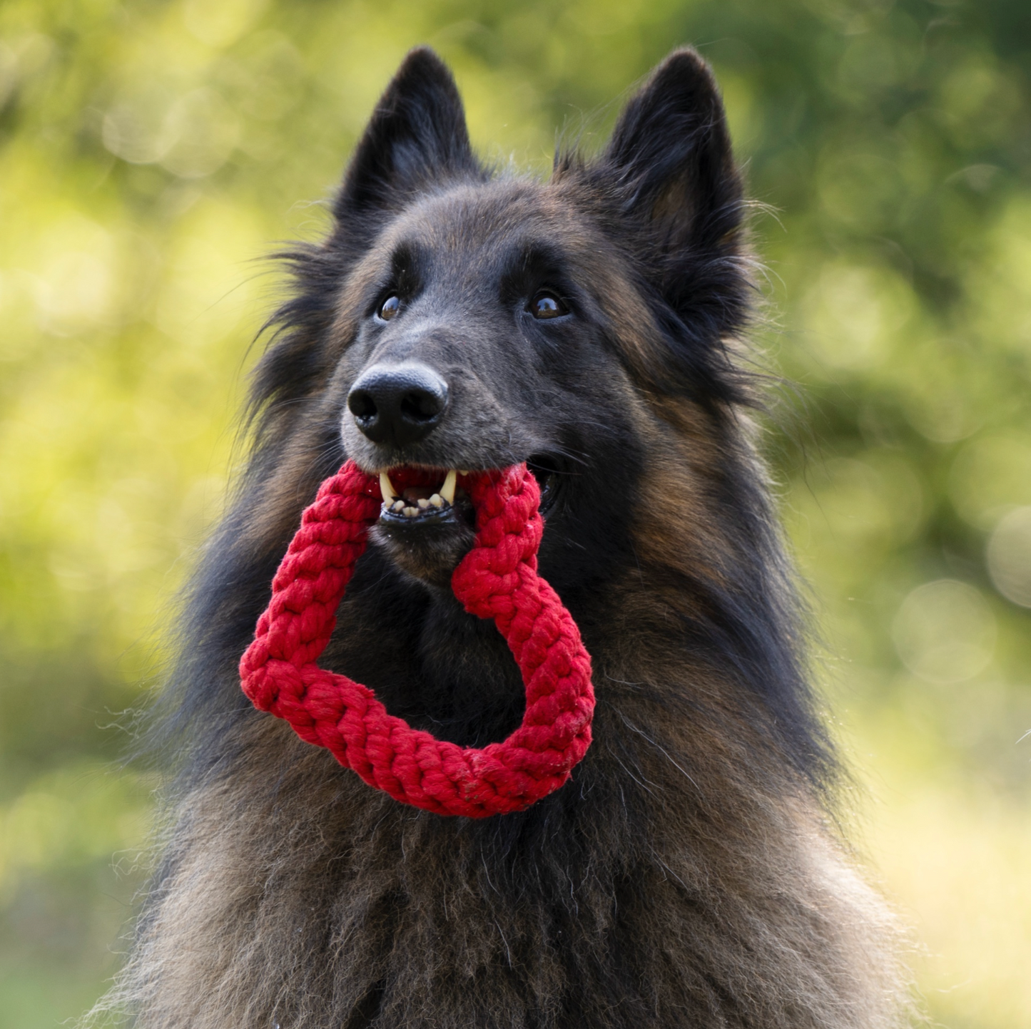 HEARTHA il Cuore™ - Gioco in corda intelligente