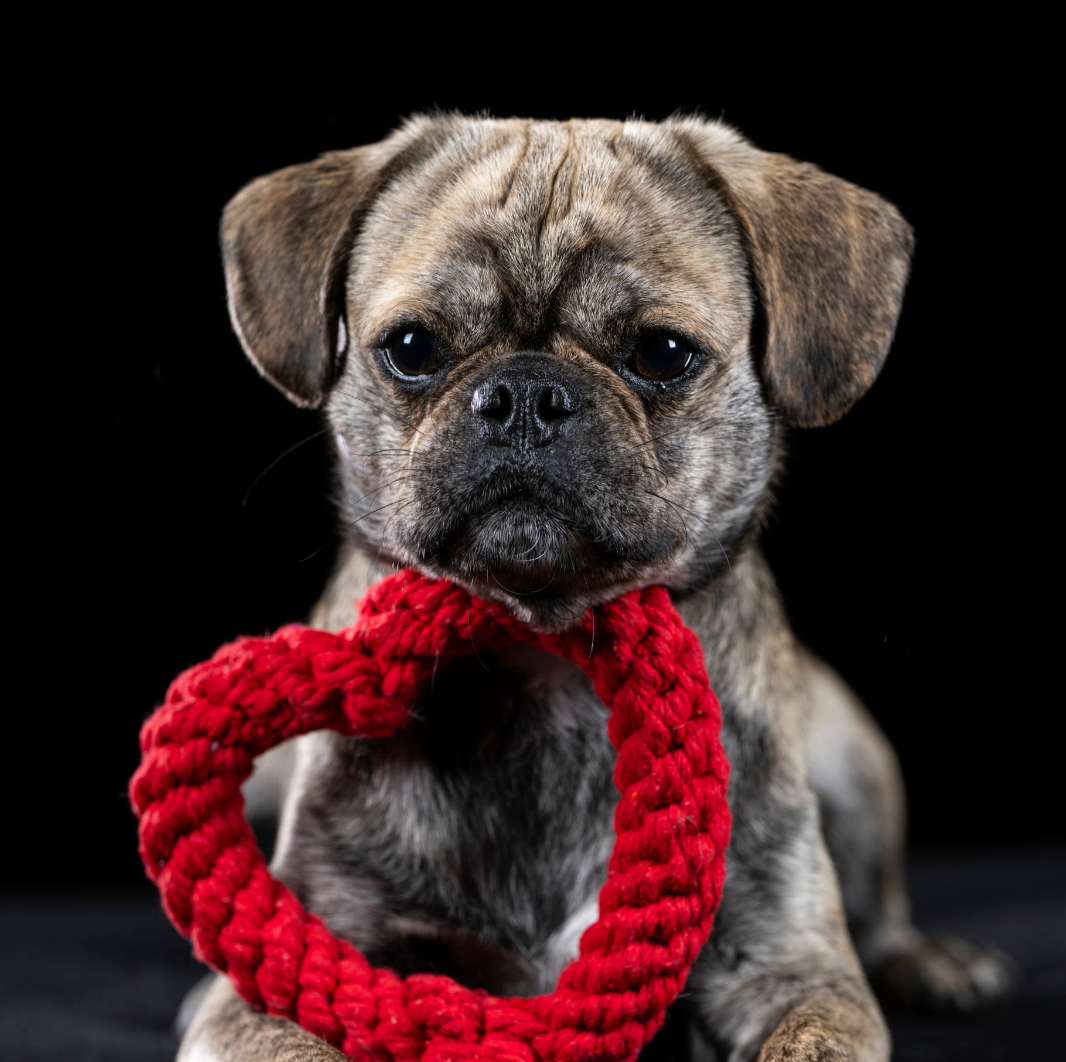 HEARTHA il Cuore™ - Gioco in corda intelligente