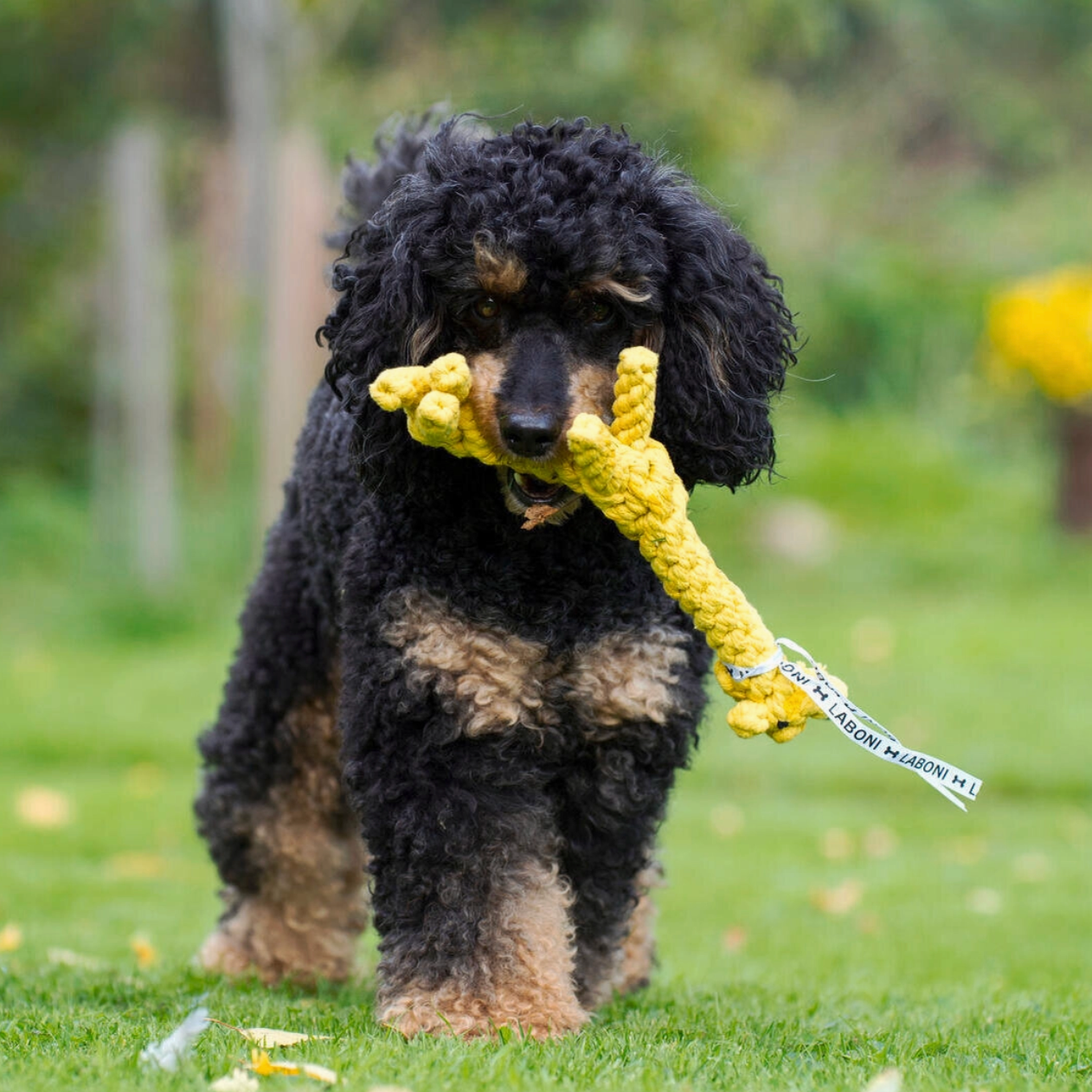 GRETCHEN la Giraffa™ - Gioco in corda intelligente