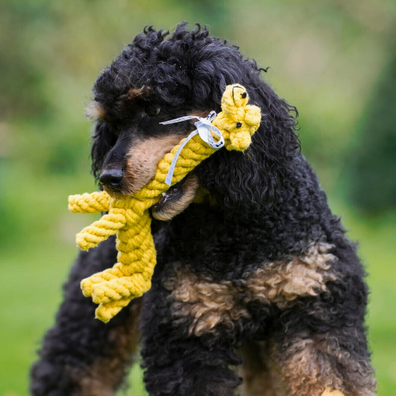 GRETCHEN la Giraffa™ - Gioco in corda intelligente