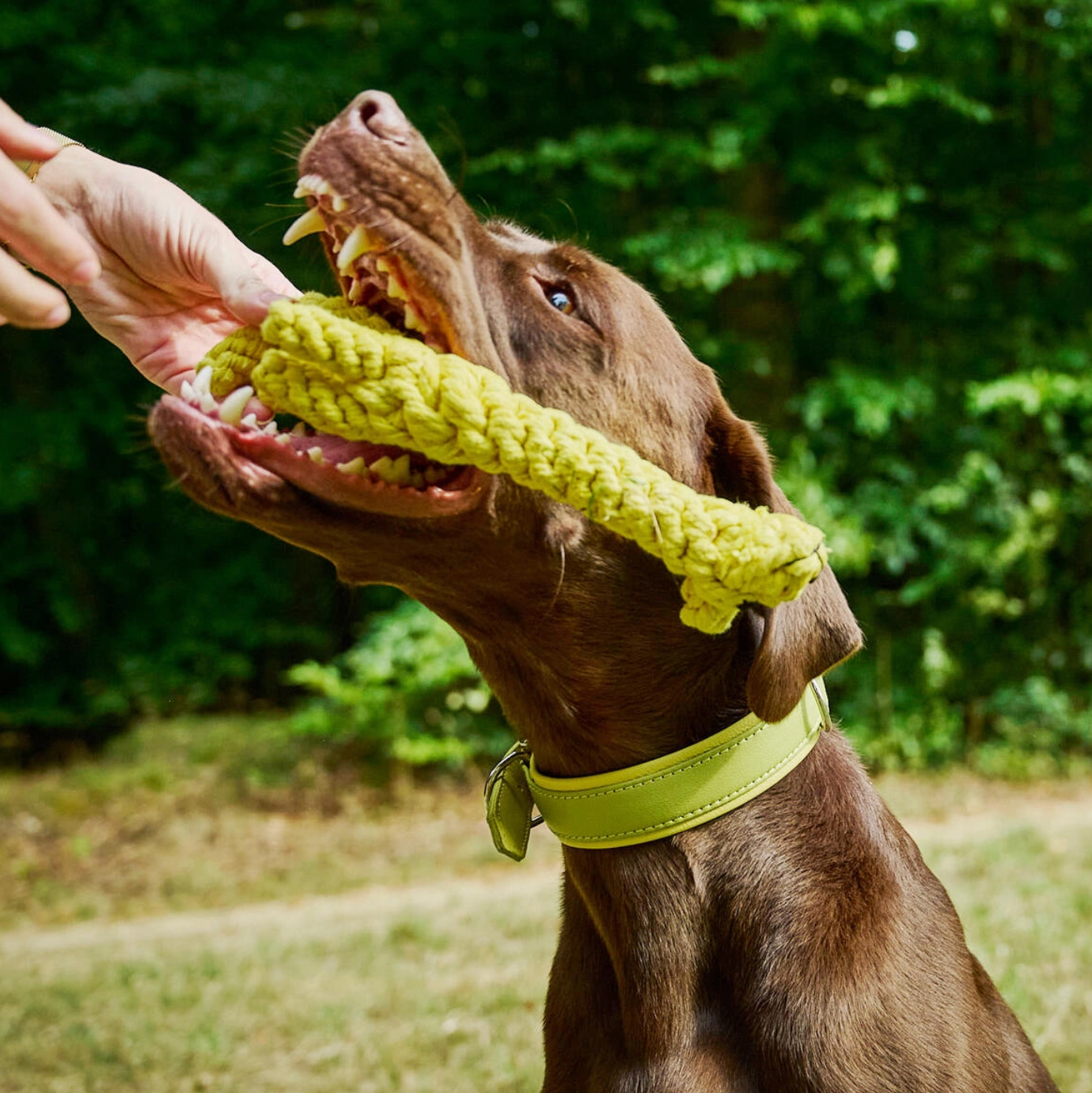 GRETCHEN la Giraffa™ - Gioco in corda intelligente