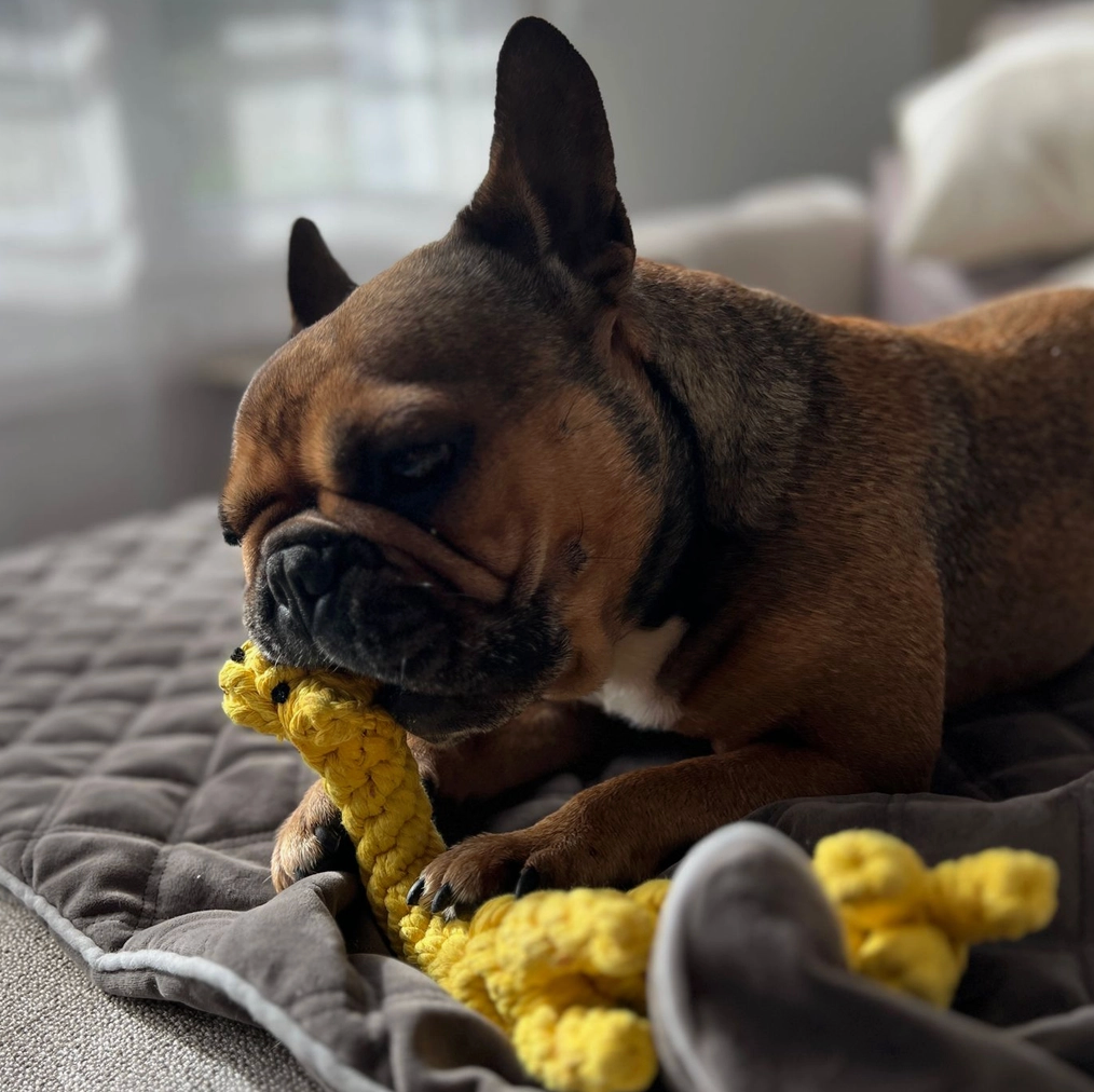 GRETCHEN la Giraffa™ - Gioco in corda intelligente