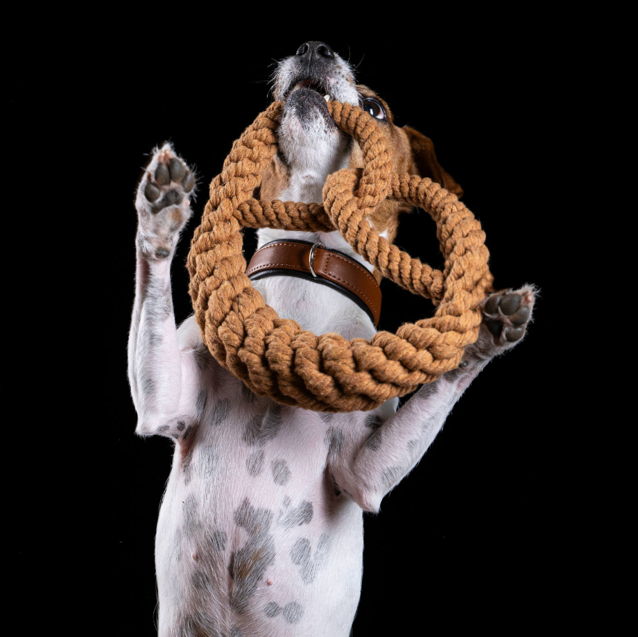 BRITTA il Brezel™ - Gioco in corda intelligente