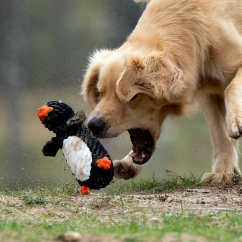 Trio Speciale Inverno™ - OFFERTA LAMPO