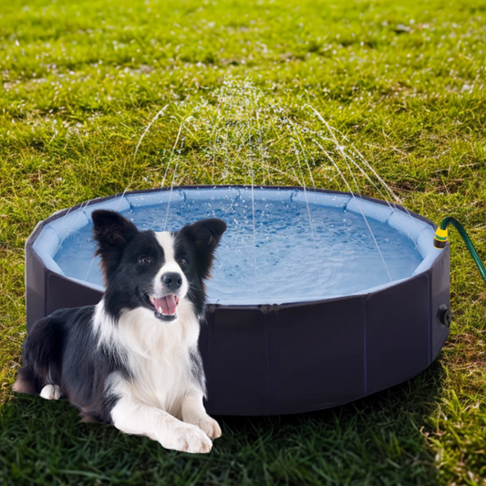 Piscina Professionale Giochi d'Acqua 2 in 1