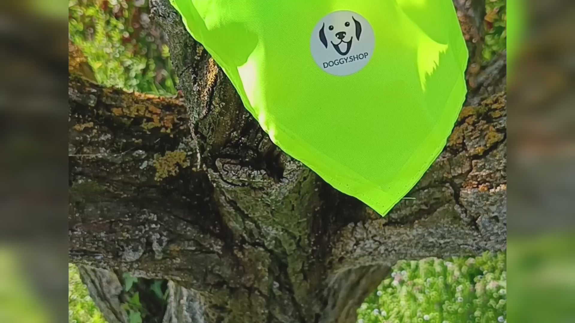 Carica il video: 